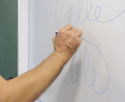 Découvrir  pour les adultes